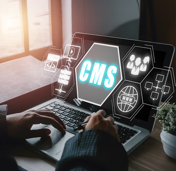 Digital portals and CMS platforms